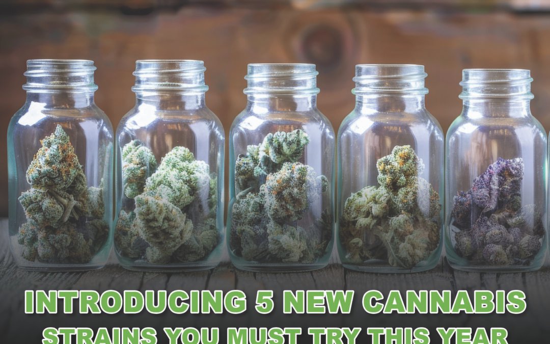 Introducing 5 New Cannabis Strains You Must Try This Year