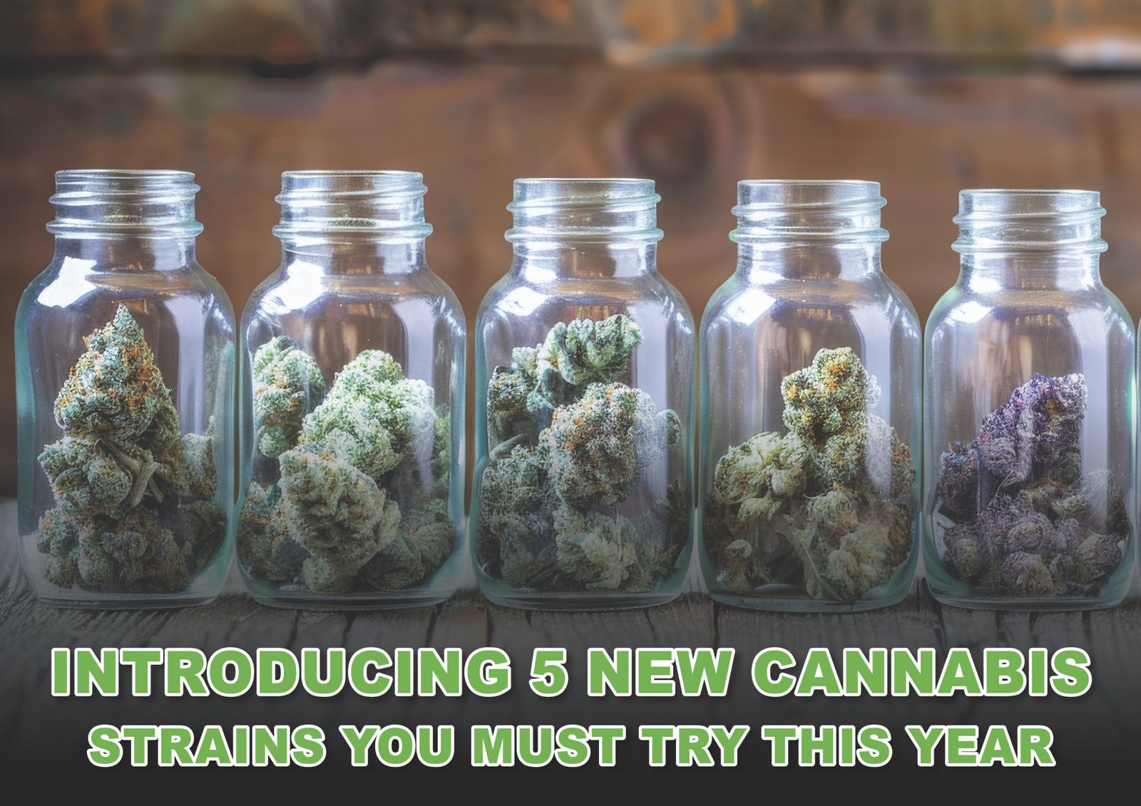 Introducing 5 New Cannabis Strains You Must Try This Year