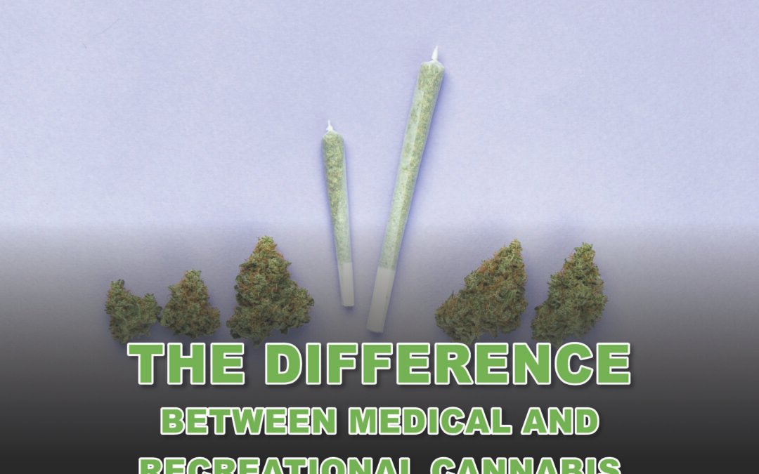 The Difference Between Medical and Recreational Cannabis: A Comprehensive Guide