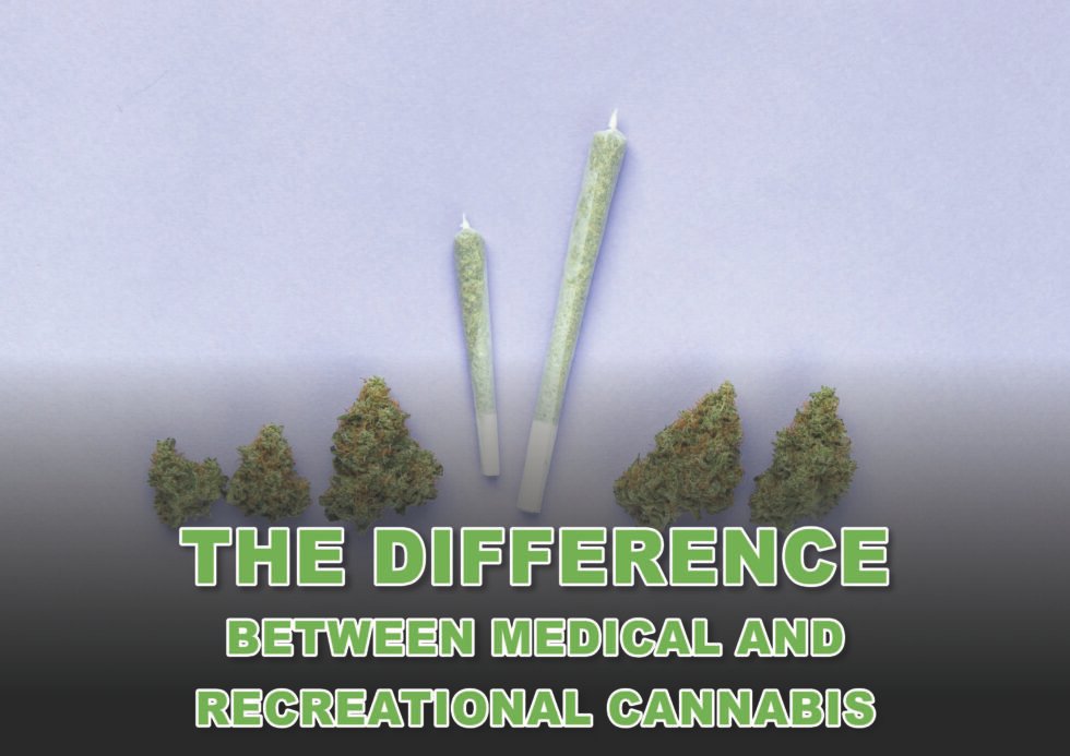 The Difference Between Medical and Recreational Cannabis