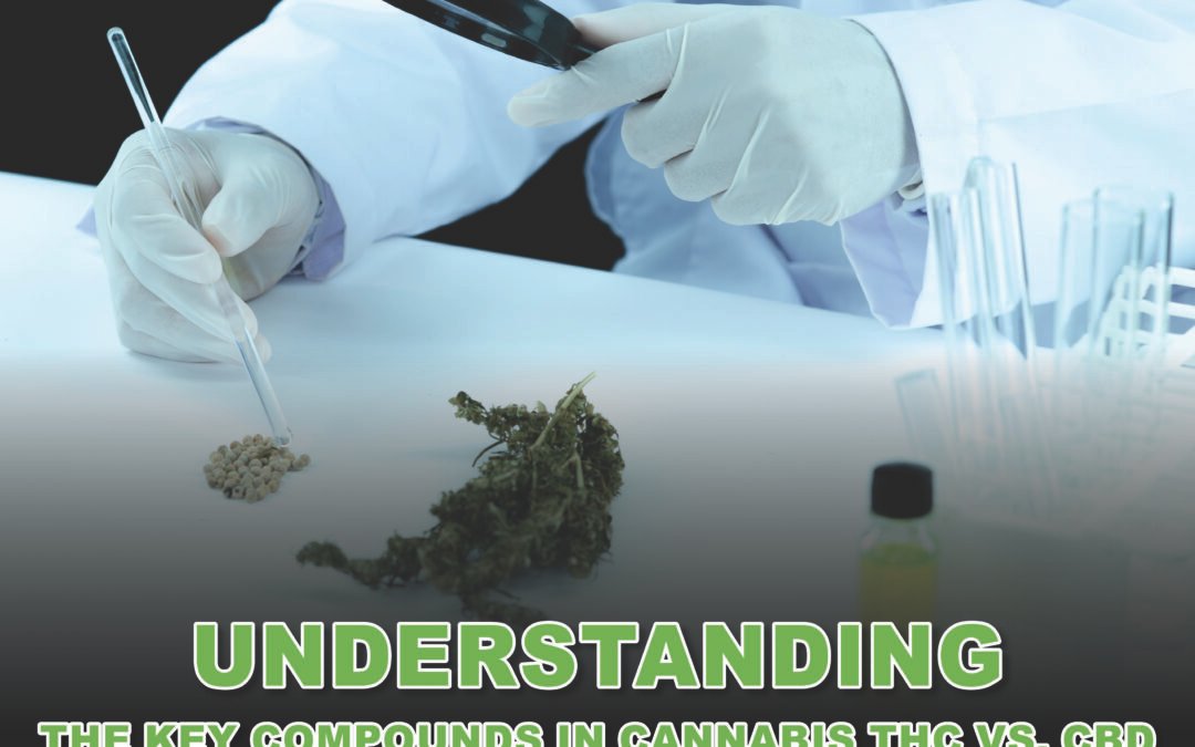 Understanding the Differences Between Indica, Sativa, and Hybrid Strains