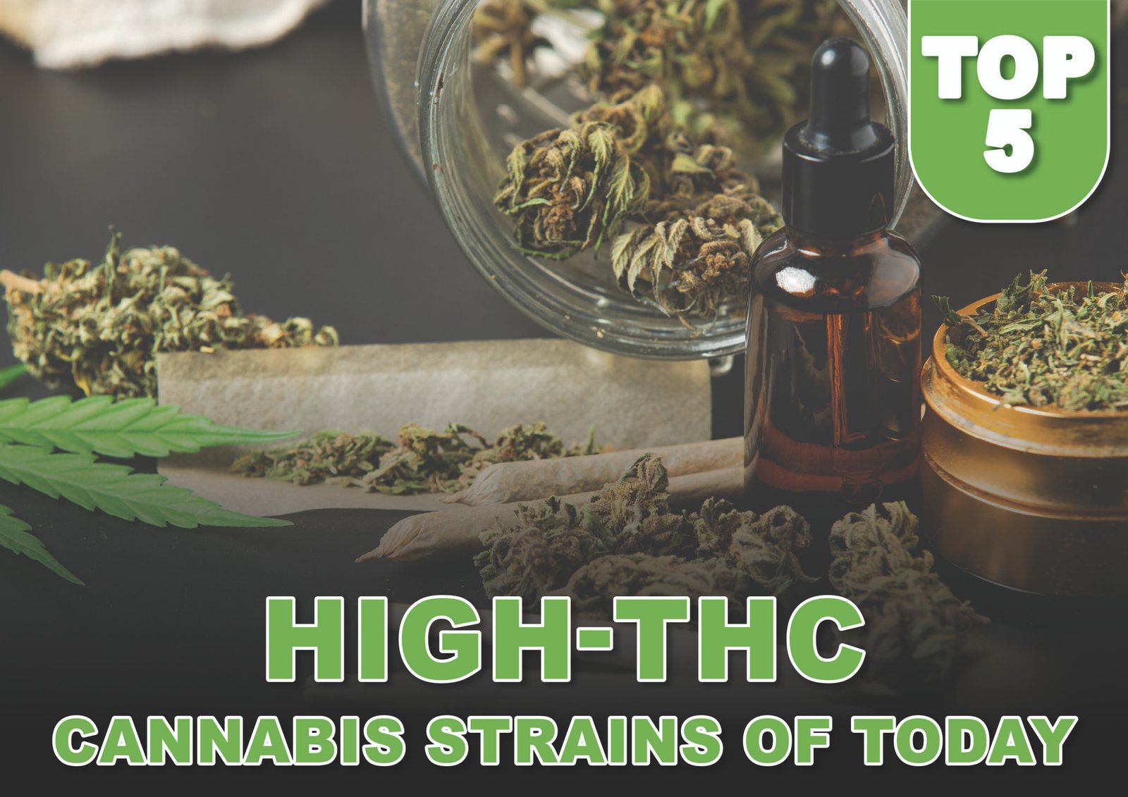 Top 5 High-THC Cannabis Strains of Today