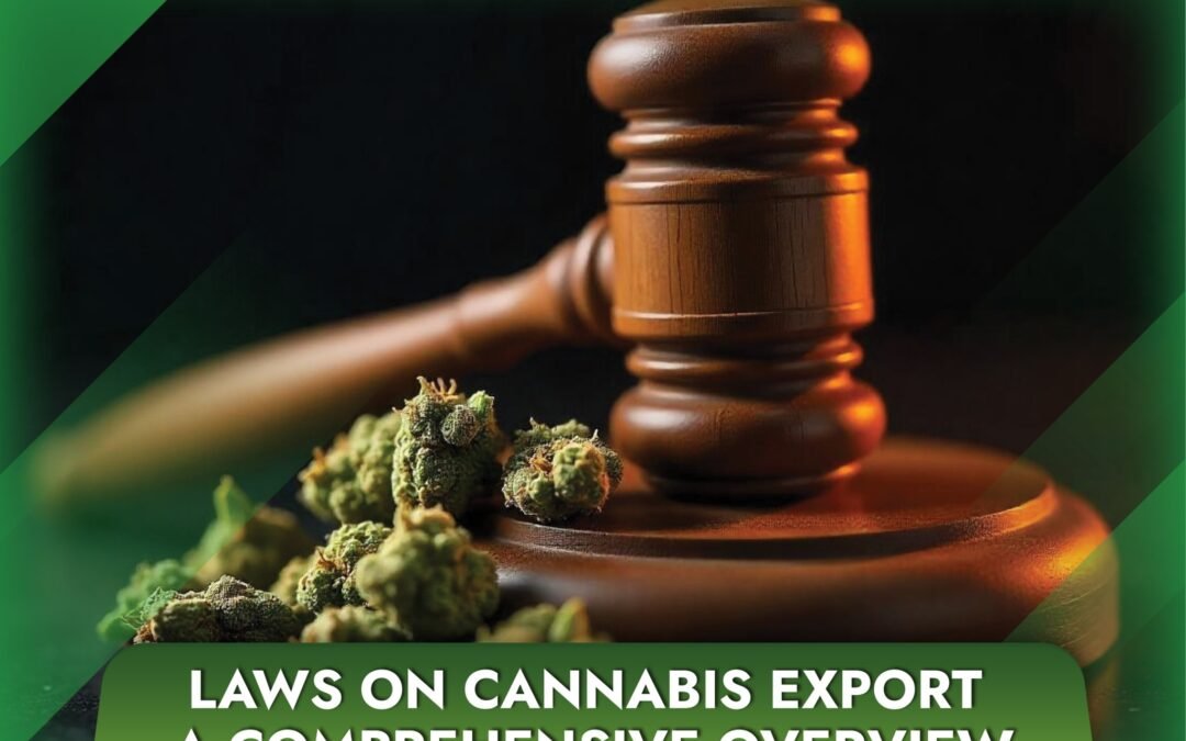 Laws on Cannabis Export A Comprehensive Overview