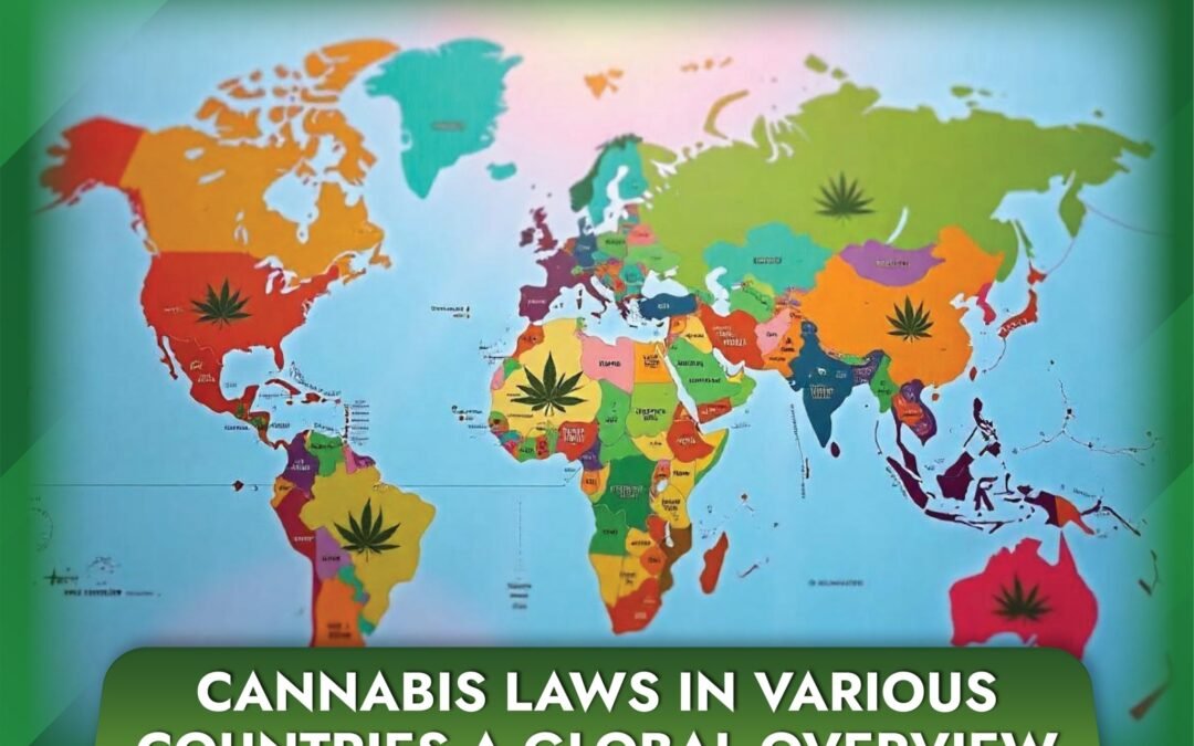 Cannabis Laws in Various Countries A Global Overview