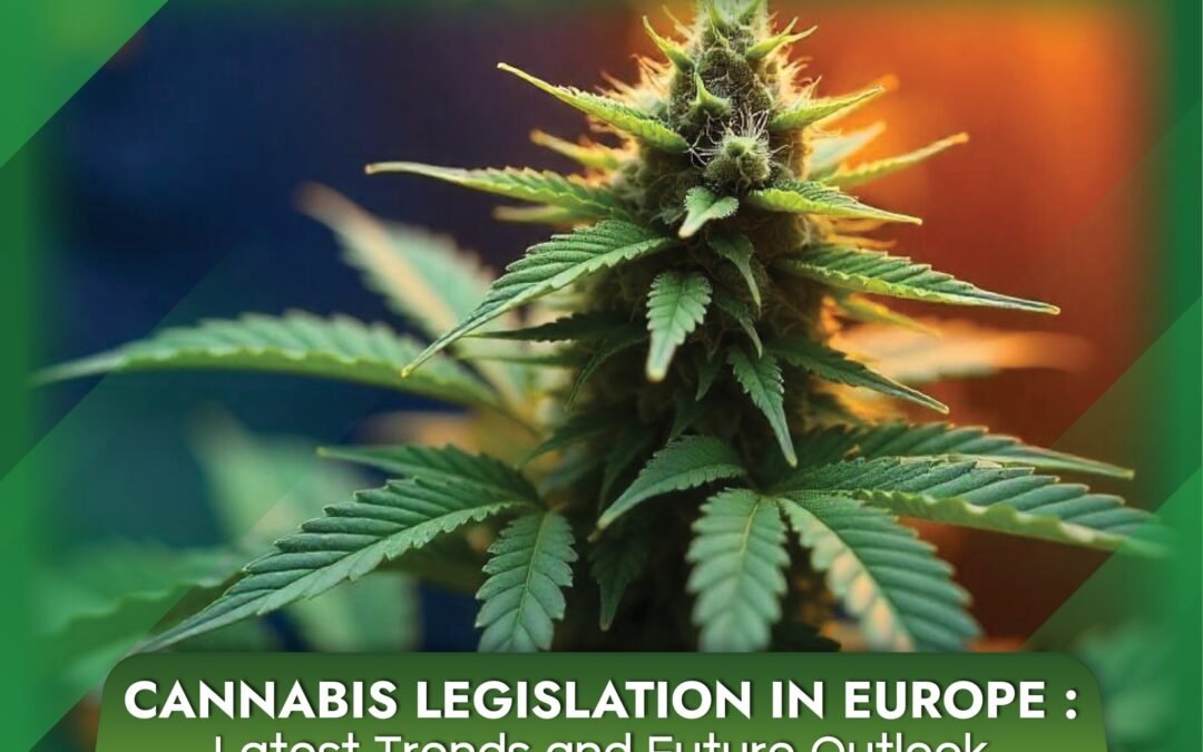 Cannabis Legislation in Europe: Latest Trends and Future Outlook