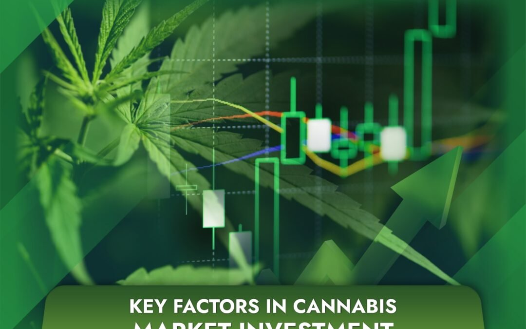 Key Factors in Cannabis Market Investment