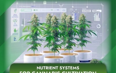 Nutrient Systems for Cannabis Cultivation: A Comprehensive Guide