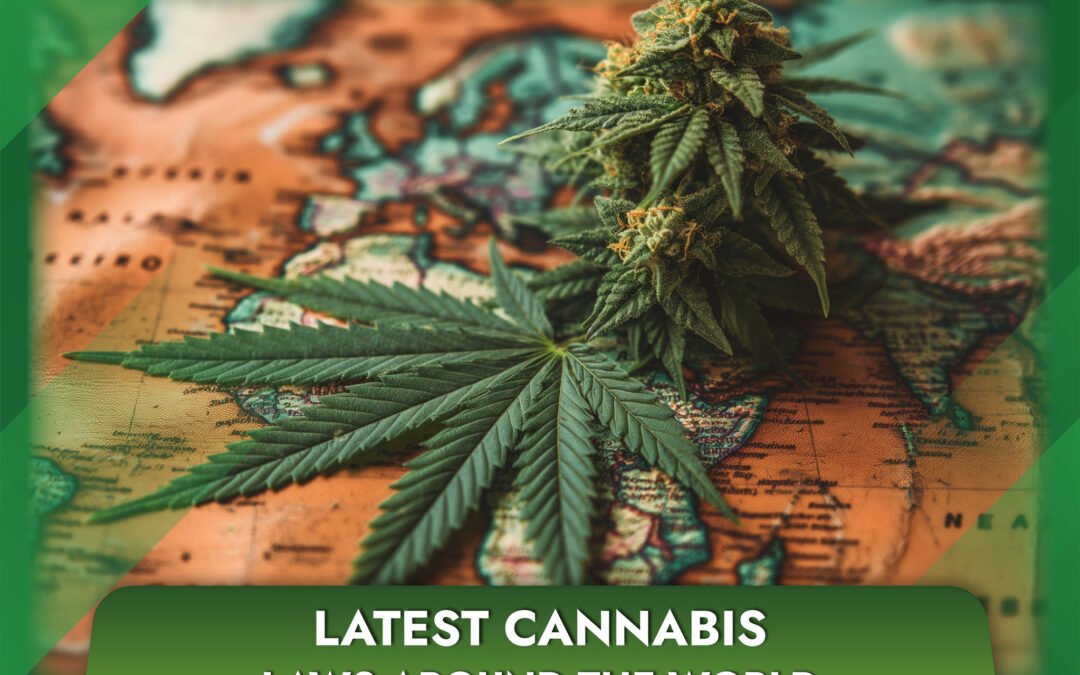 Latest cannabis laws around the world