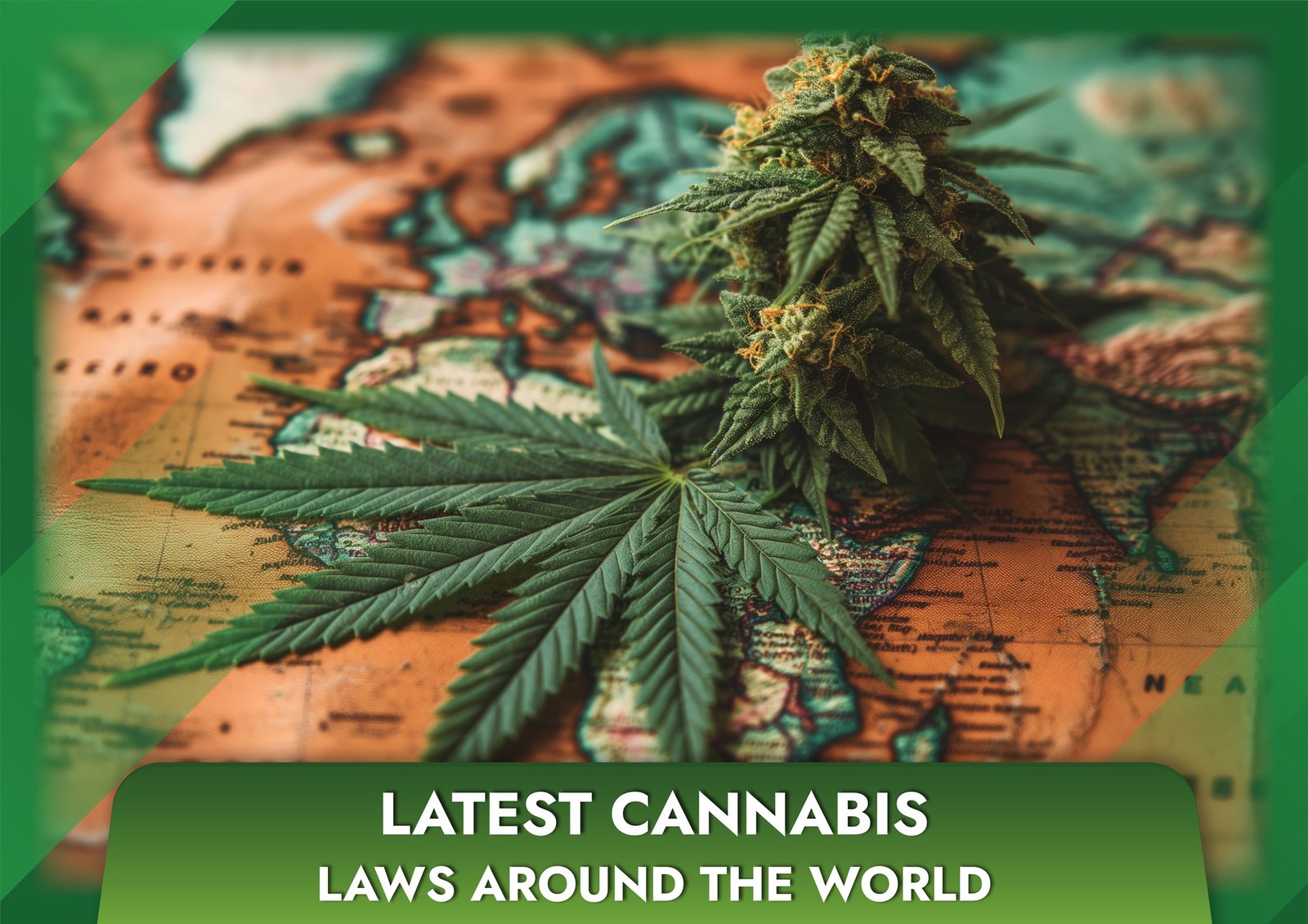 Latest cannabis laws around the world