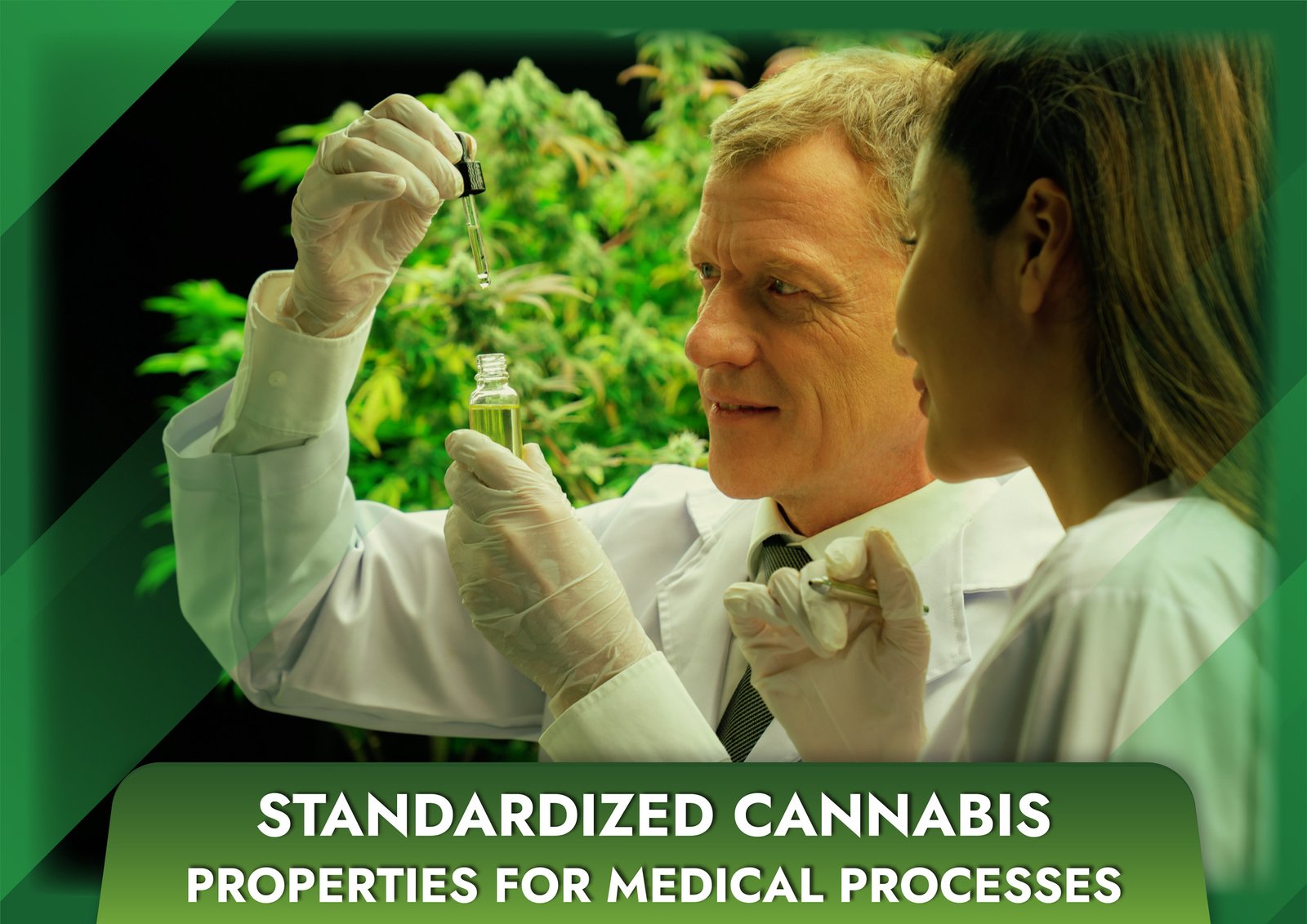 Standardized cannabis properties for medical processes