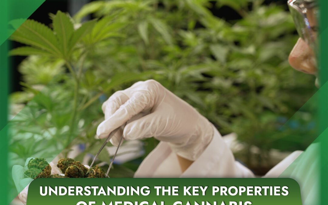 Understanding the Key Properties of Medical Cannabis