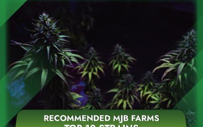 Recommended MJB Farms Top 10 Strains
