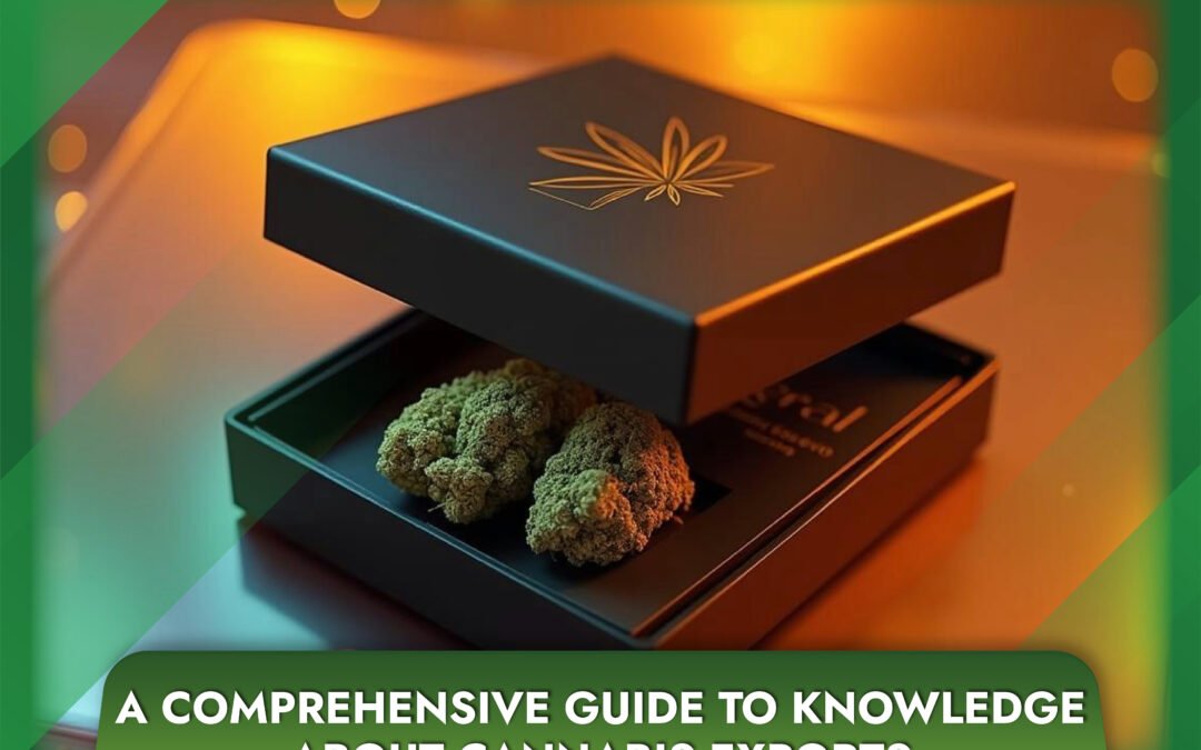 A Comprehensive Guide to Knowledge About Cannabis Exports