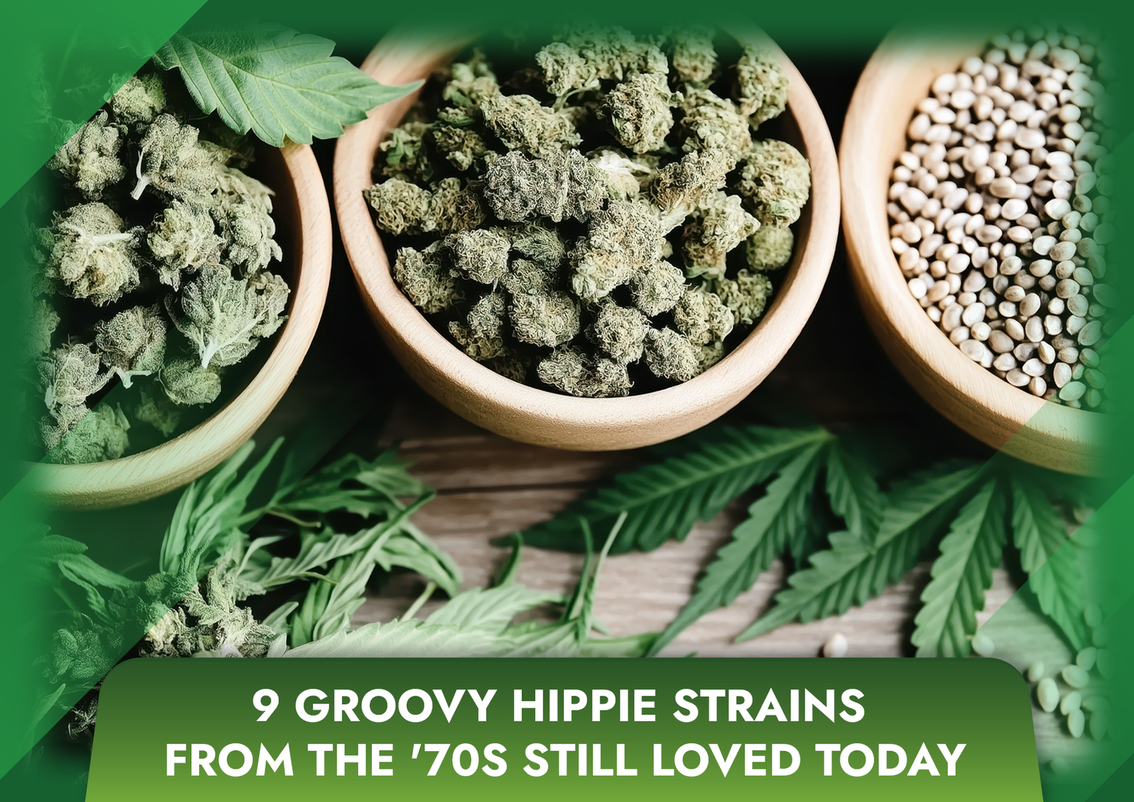 9 Groovy Hippie Strains from the ’70s Still Loved Today
