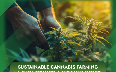Sustainable Cannabis Farming: A Path Toward a Greener Future