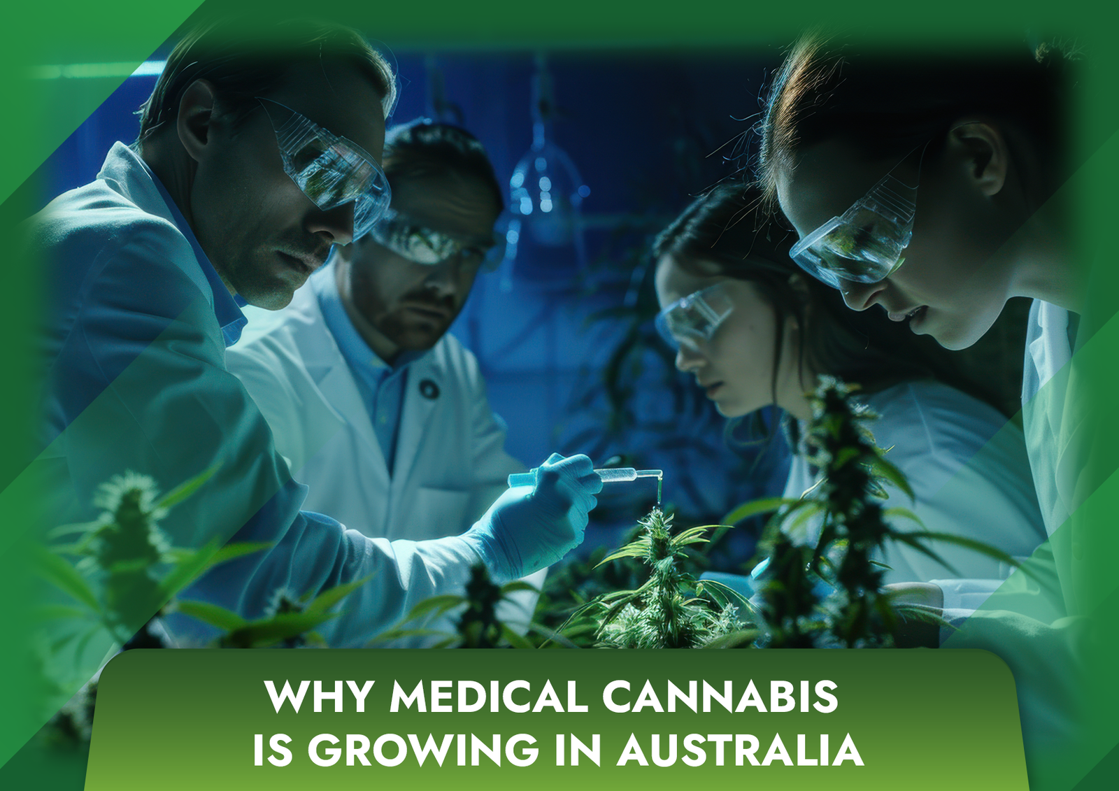 Why Medical Cannabis Is Growing in Australia