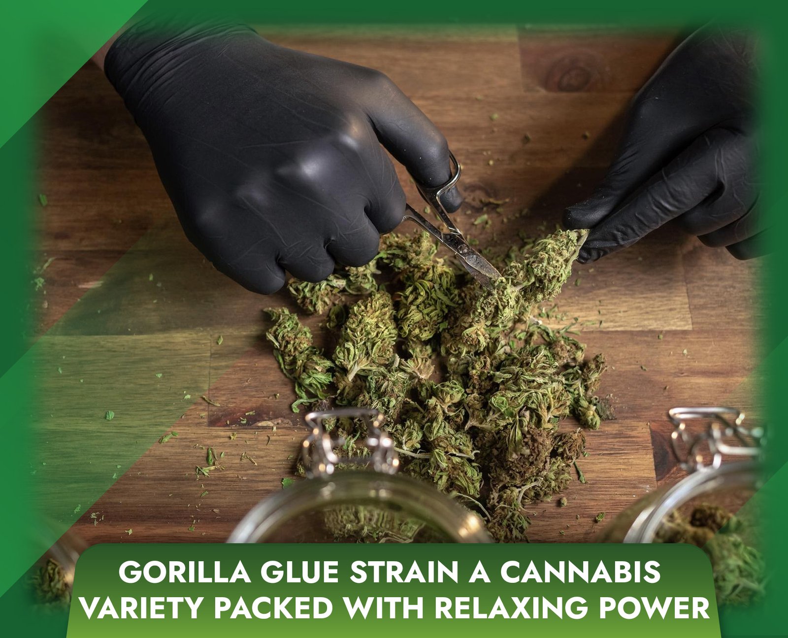 Gorilla Glue Strain A Cannabis Variety Packed with Relaxing Power
