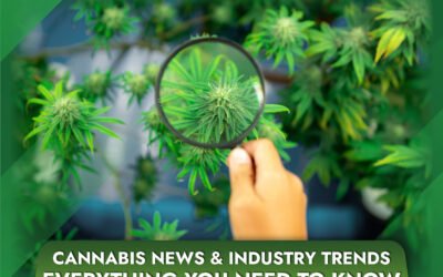 Cannabis Industry News & Trends Everything You Need to Know