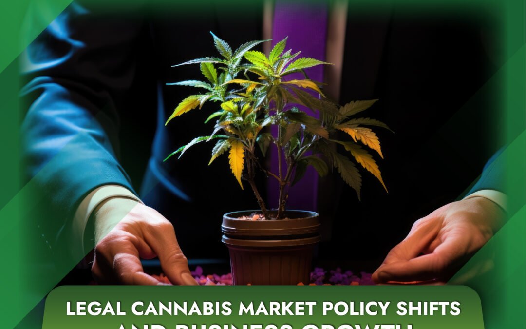Legal Cannabis Market Policy Shifts and Business Growth