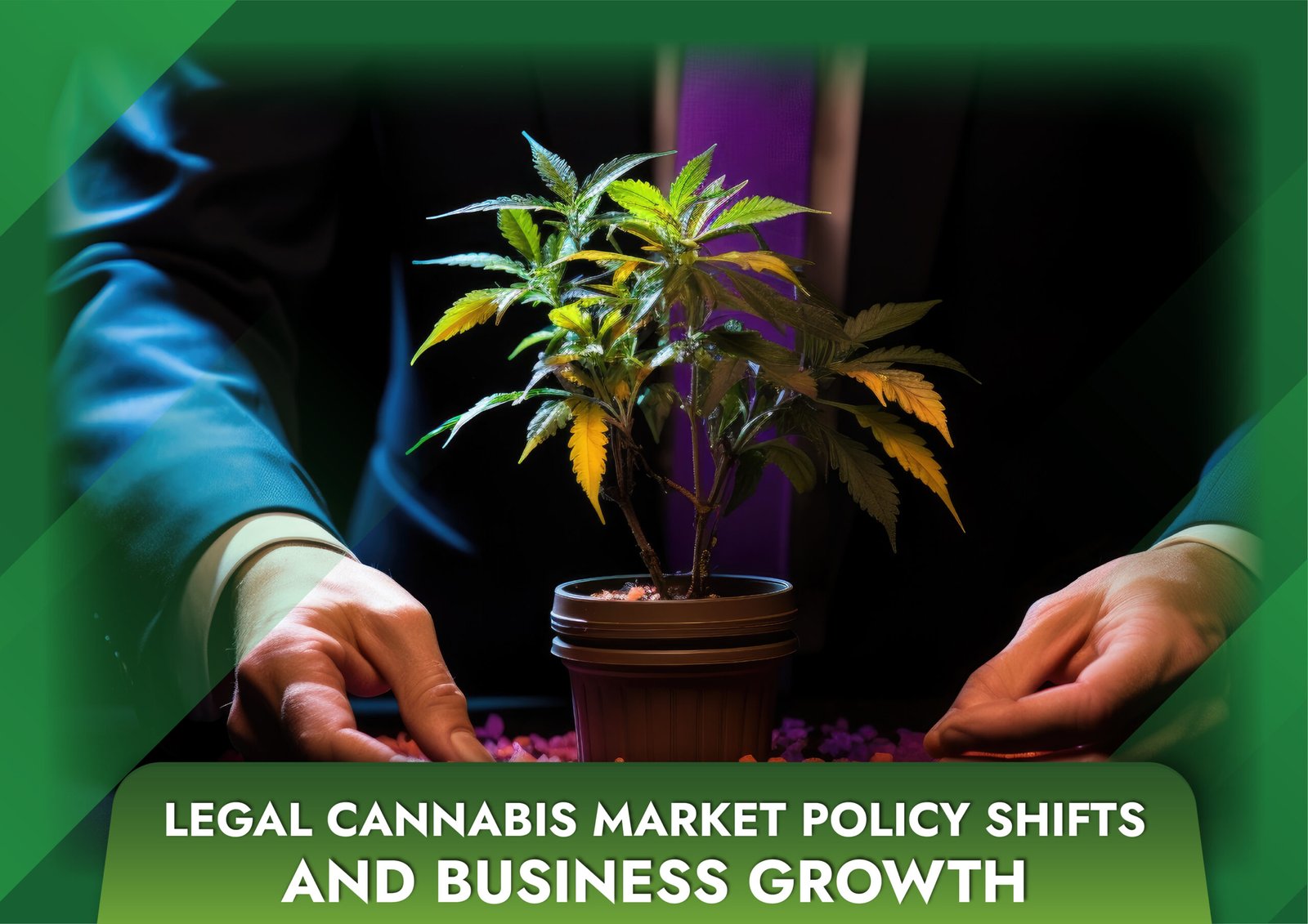 Legal Cannabis Market Policy Shifts and Business Growth