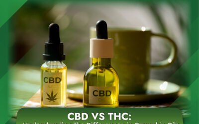 CBD vs THC: Understanding the Differences in Cannabis Oils