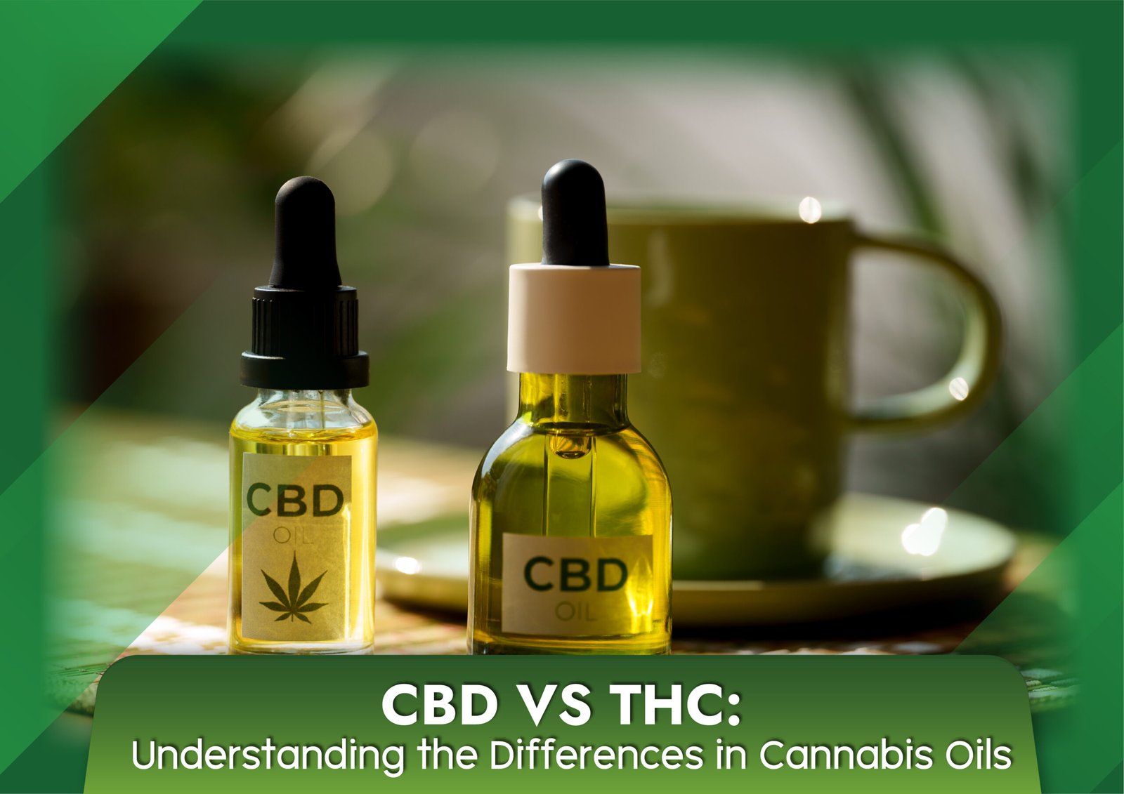 CBD vs THC: Understanding the Differences in Cannabis Oils