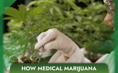 How Medical Marijuana is Changing Modern Medicine