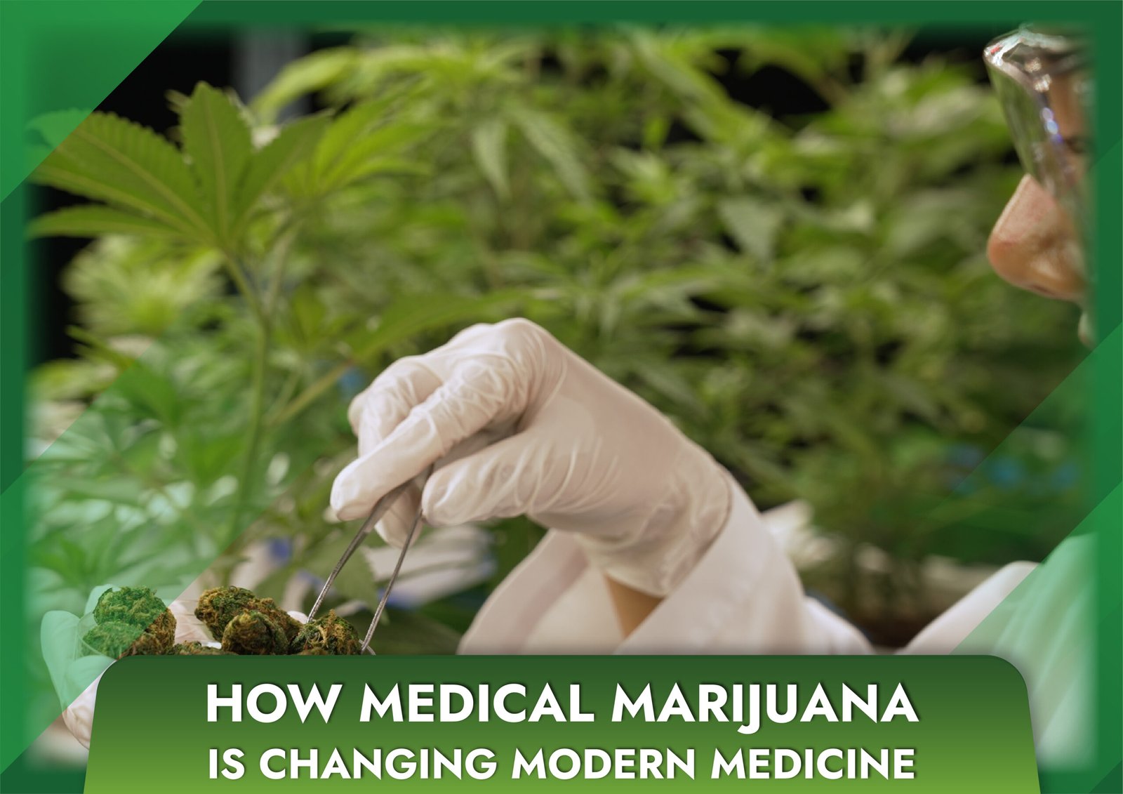How Medical Marijuana is Changing Modern Medicine
