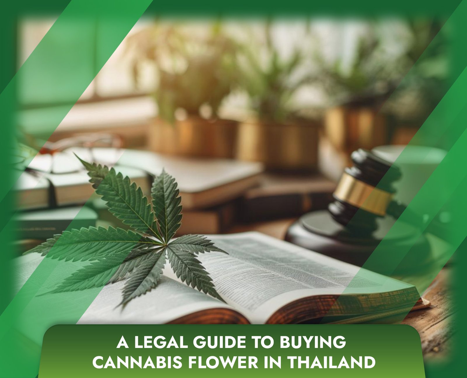 A Legal Guide to Buying Cannabis Flower in Thailand