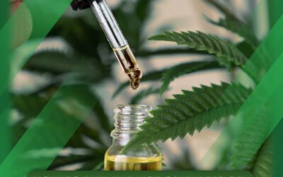 How to Buy and Use Cannabis Oil in Thailand Legally
