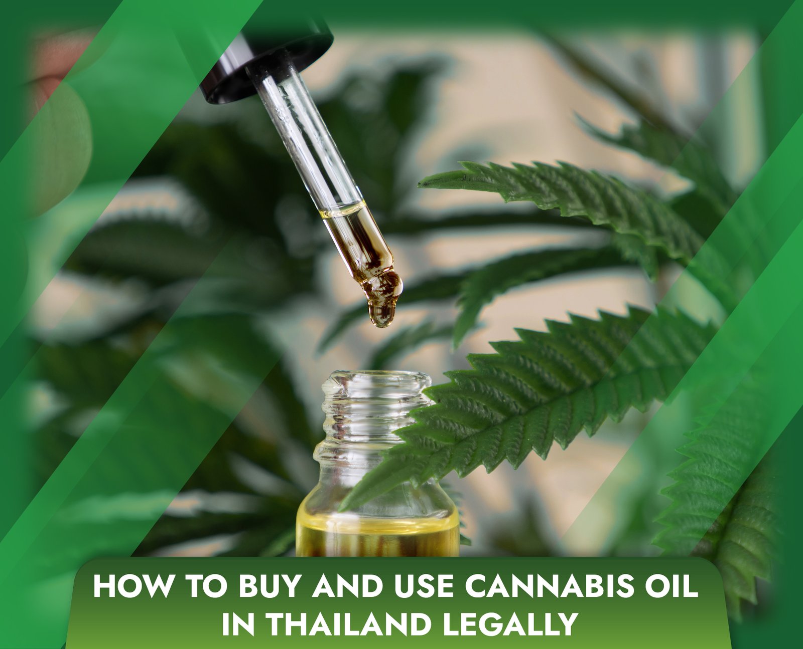 How to Buy and Use Cannabis Oil in Thailand Legally