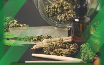 How to Choose the Right Cannabis Store for You