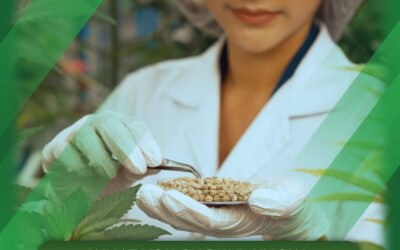 What You Should Know About Medicinal Cannabis Seeds